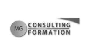 CONSULTING FORMATION