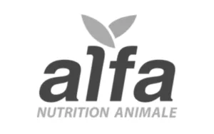 GROUP ALFA